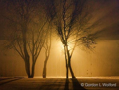 Fog Light_05283-5.jpg - Photographed at Smiths Falls, Ontario, Canada.